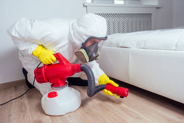 Best Flea Control Services  in Centennial Park, AZ