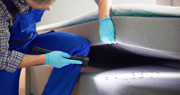 Best Pest Prevention Services  in Centennial Park, AZ